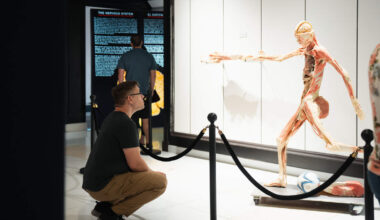 Explore human anatomy at “Bodies The Science Within” exhibit