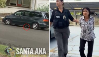 Anaheim woman arrested after puppy intentionally run over in Santa Ana