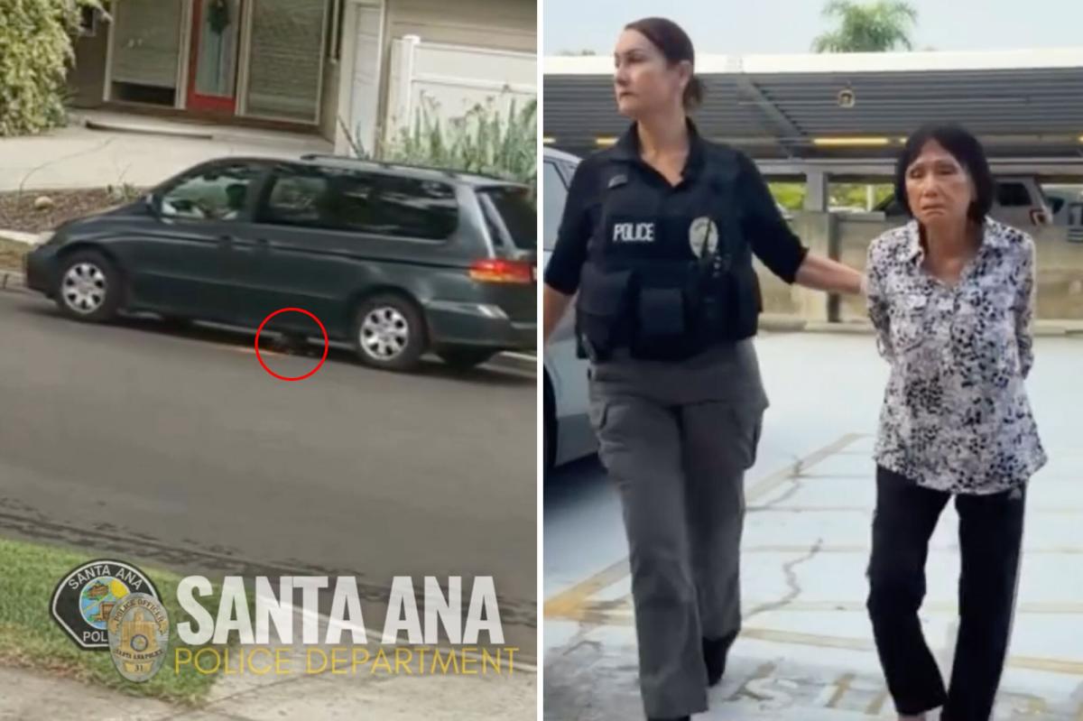 Anaheim woman arrested after puppy intentionally run over in Santa Ana