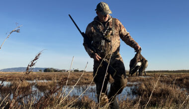 Hunter carrying ducks