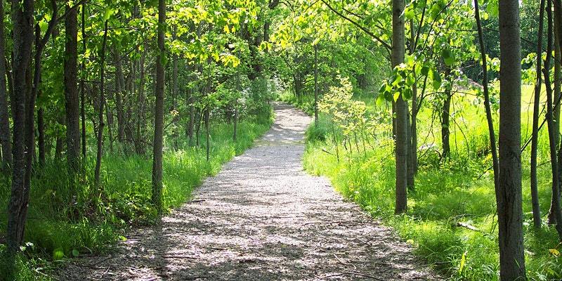 Community events in Oakland County Oct. 17 and beyond – The Oakland Press