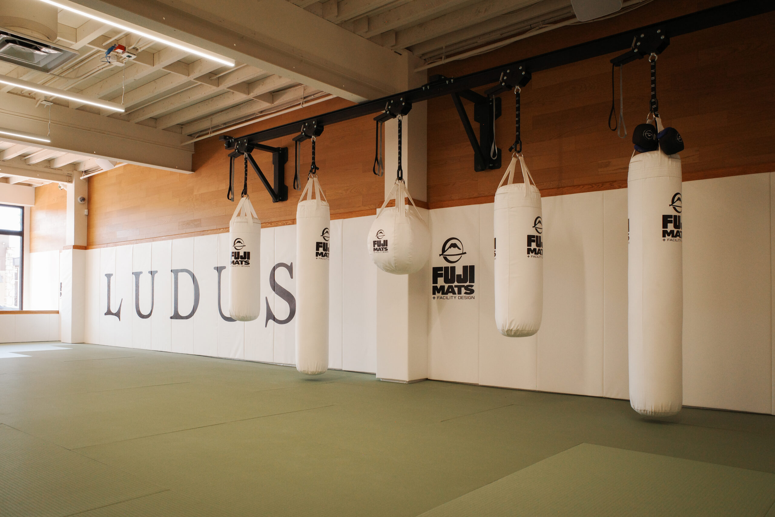 Ludus