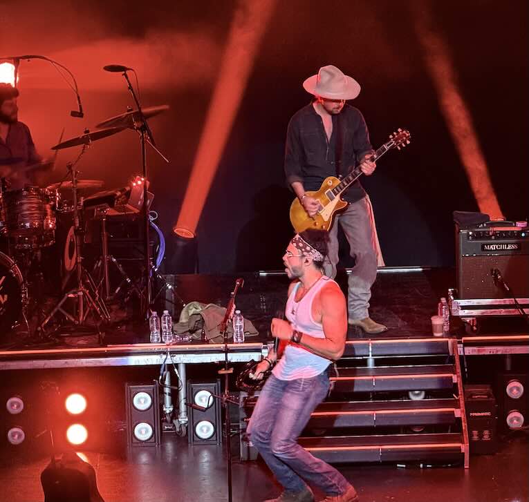 Sons of Legion, photo, The Wiltern, Los Angeles