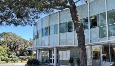 Solana Beach approves ordinance for residential beekeeping, chicken coops – San Diego Union-Tribune