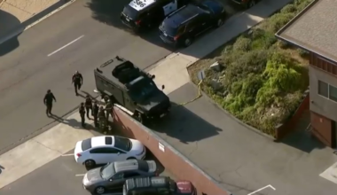 Two people found dead inside an apartment in the Del Cerro neigborhood – NBC 7 San Diego