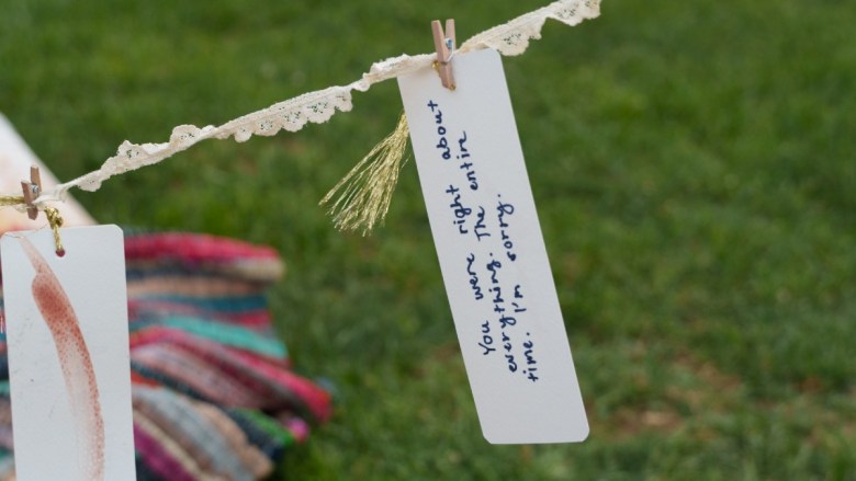 Two handwritten tags hanging from a lace clothesline over grass.