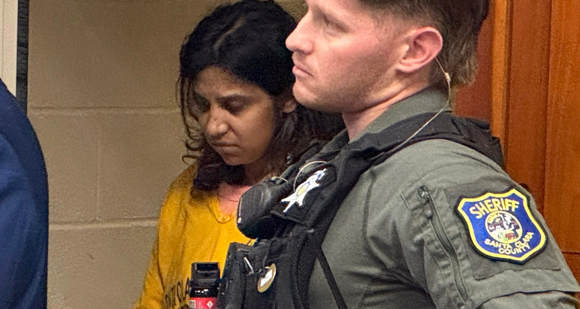Attorney raises competency doubt in Milpitas friends murder case
