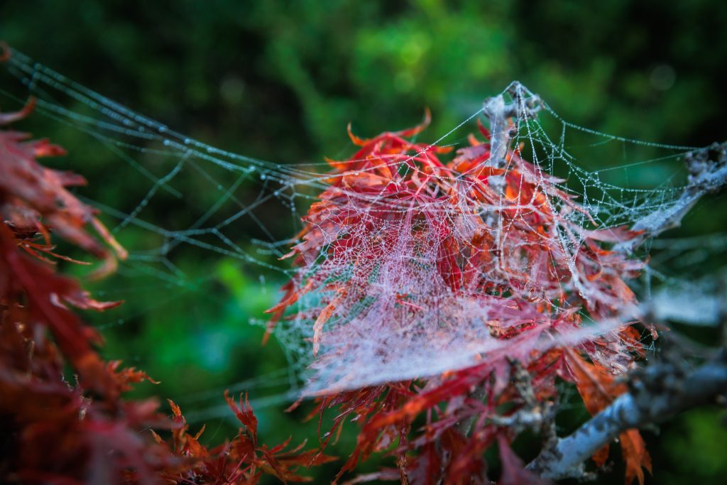Community invited to submit scary stories