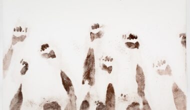 Review : Dread Scott at YBCA