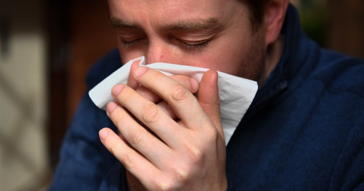 Bay Area currently the hot spot for the flu in California
