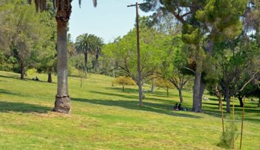 What to know about LA’s Charter Amendment PRK – NBC Los Angeles