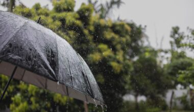 City of San Diego and SDHC activate Inclement Weather Shelter Program – NBC 7 San Diego