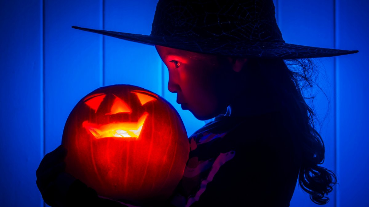 Things to do this weekend in San Diego for October 23-25 – NBC 7 San Diego