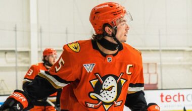 Ducks To Recall Roger McQueen, Stian Solberg – Pro Hockey Rumors