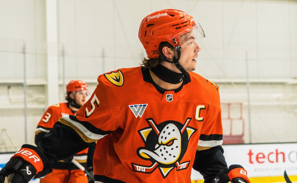 Ducks To Recall Roger McQueen, Stian Solberg – Pro Hockey Rumors