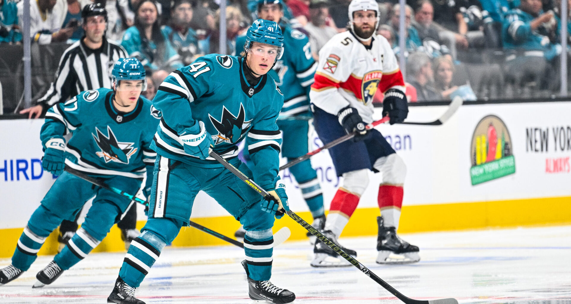Sharks' Stenberg Gets Boost With Celebrini Injured