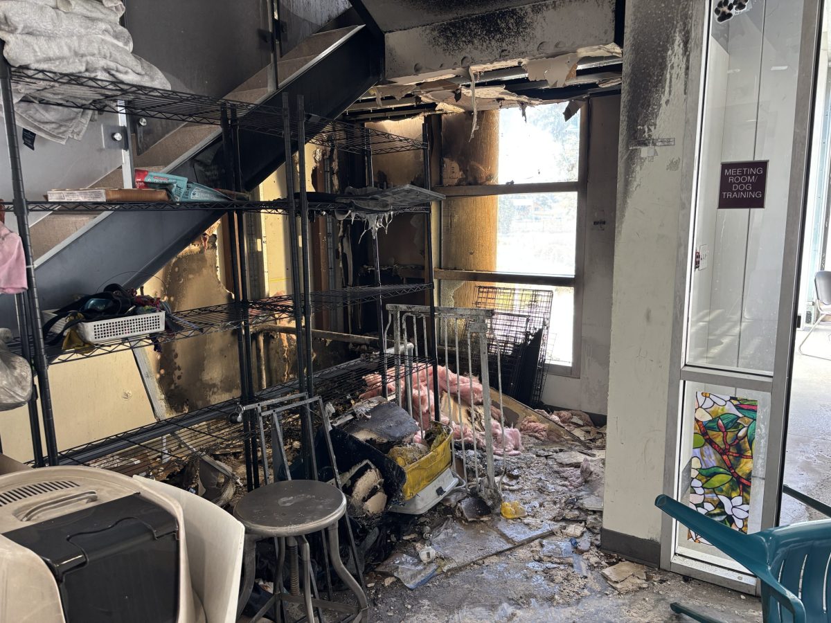 Berkeley animal shelter arson: Suspect’s dog was seized a day before the fire