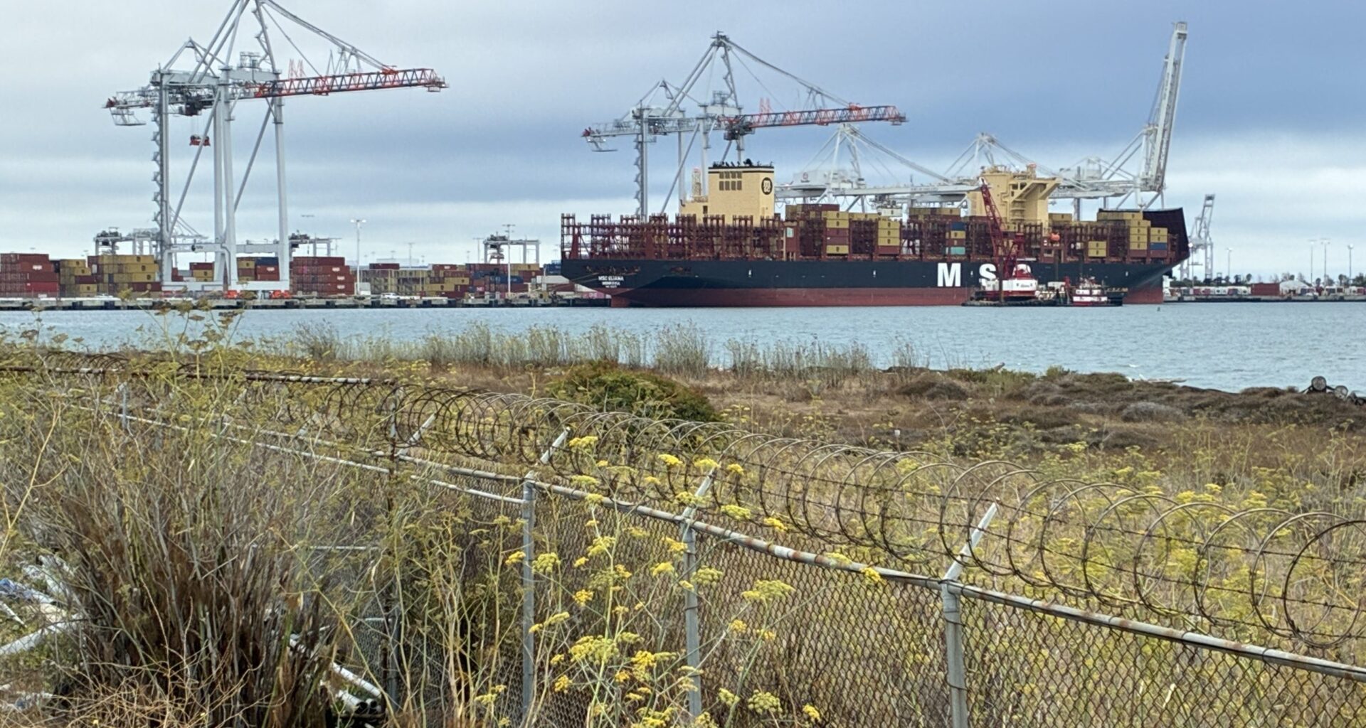 Newsom and Bonta create new hurdle for Trump-backed Oakland coal terminal