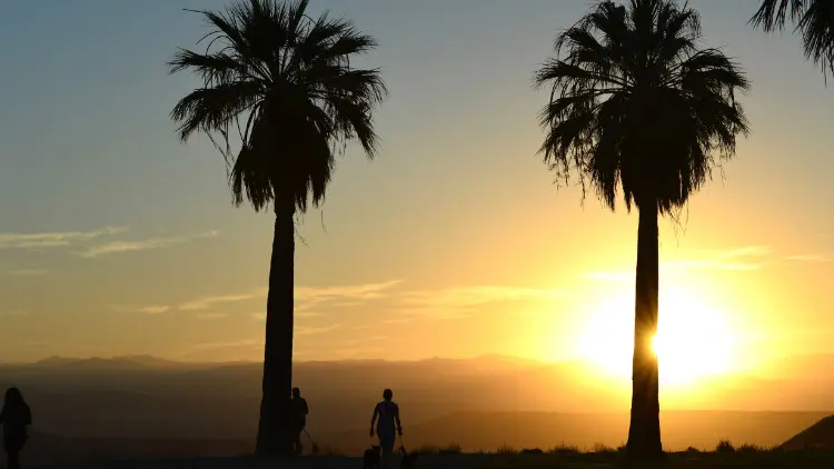 Sunset at a prak in Bakersfield, Calif.