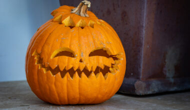 Community Frames: Spooky snaps requested!
