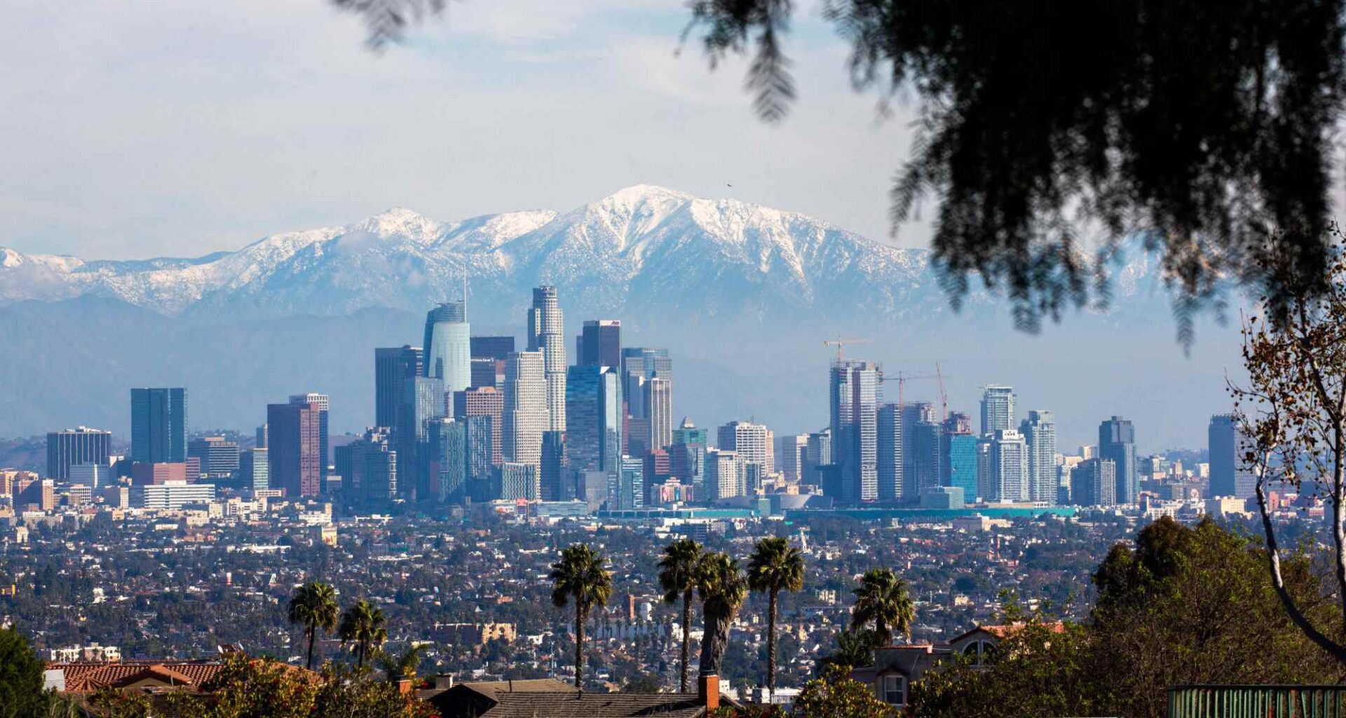 Endorsement: No on Los Angeles Charter Amendments LA, EE, PRK, PRT. Yes on PL. – Daily News