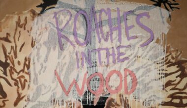 Second chalk protest turns into disciplinary hearing – The State Hornet