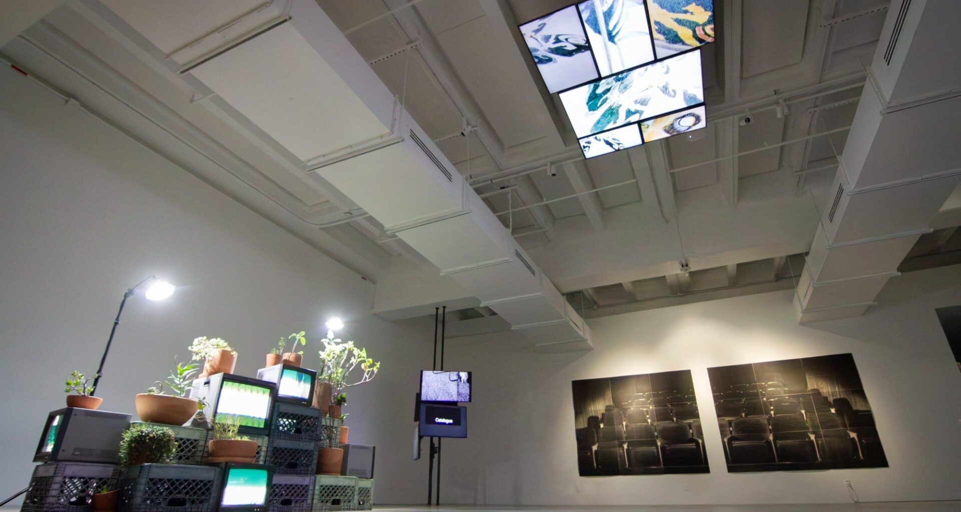 A single screen doesn’t restrict UC San Diego’s newest exhibition – San Diego Union-Tribune