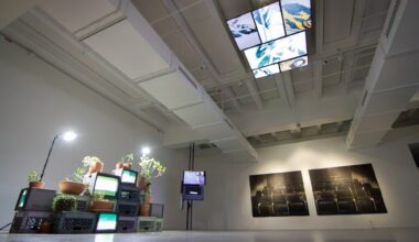 A single screen doesn’t restrict UC San Diego’s newest exhibition – San Diego Union-Tribune