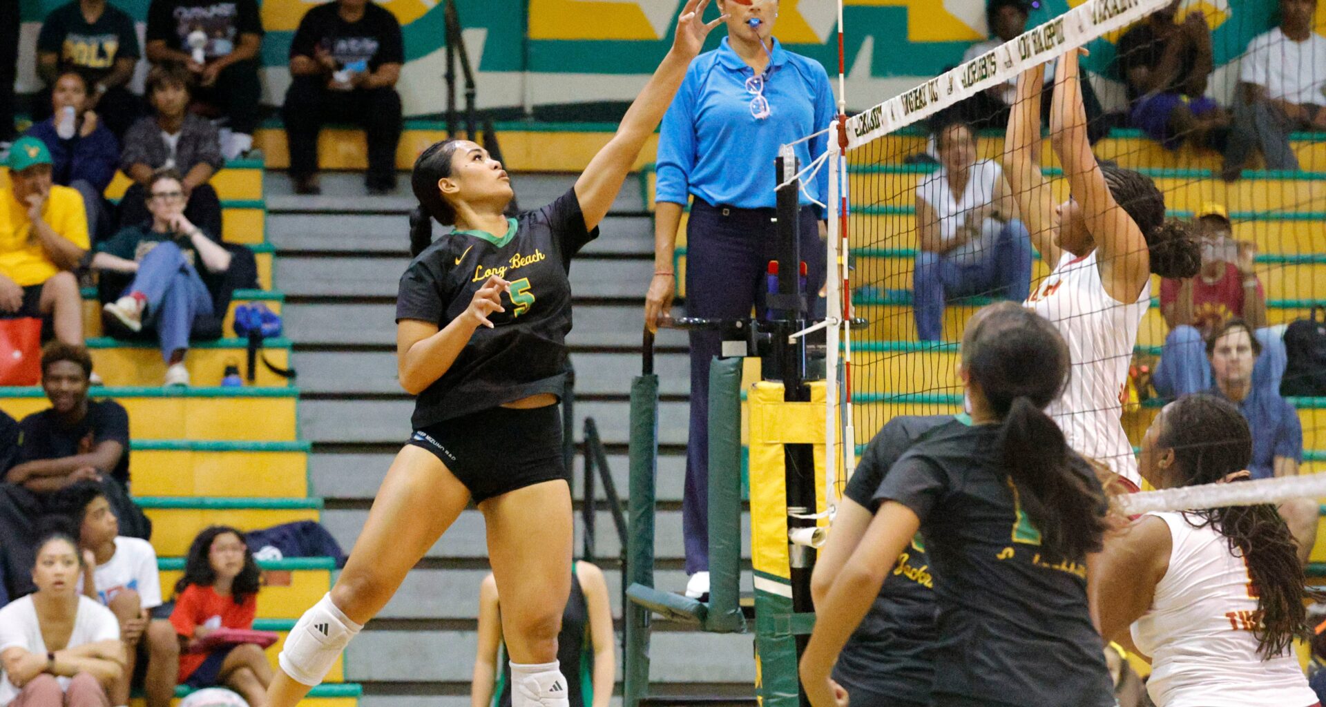 Long Beach Poly girls volleyball wins fourth straight Moore League title – Press Telegram