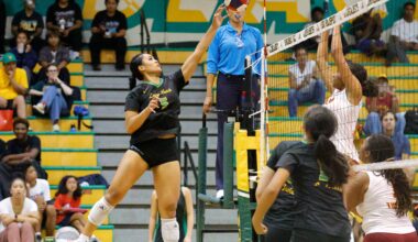 Long Beach Poly girls volleyball wins fourth straight Moore League title – Press Telegram