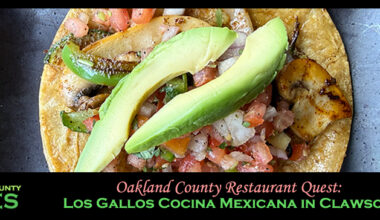 Oakland County Restaurant Quest: Los Gallos Cocina Mexicana in Clawson