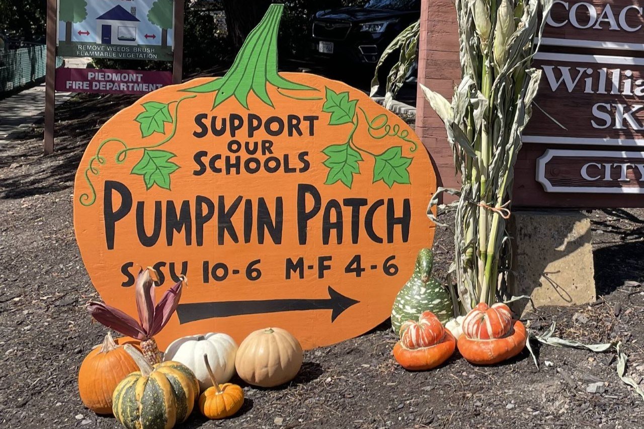 Wildwood Dads’ Club Pumpkin Patch in Piedmont back through Halloween