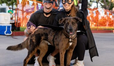 San Diego Weekend Guide Oct. 23-25: Spookier and spookier