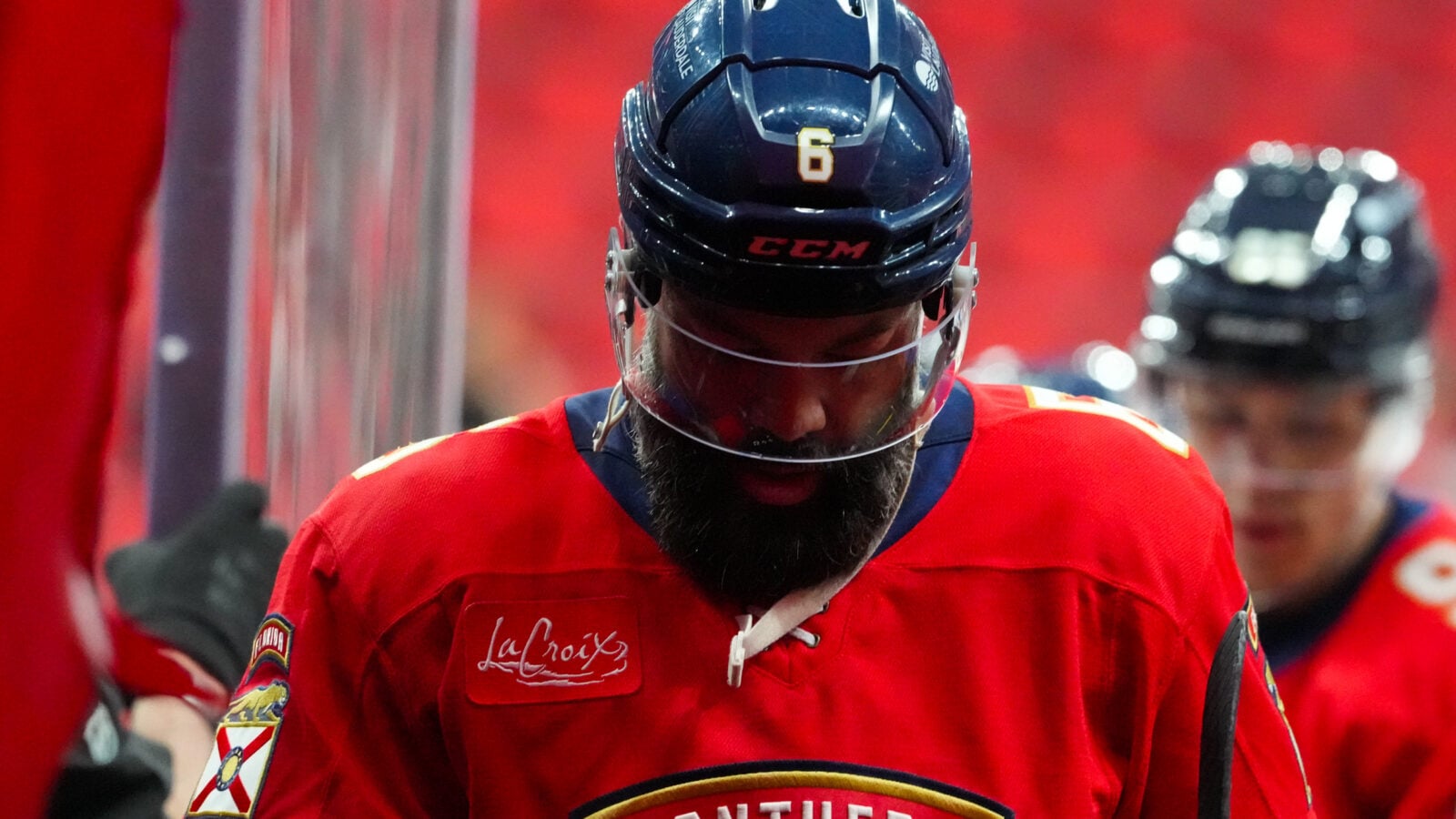 Radko Gudas Returns to Face Anaheim Ducks with the Florida Panthers