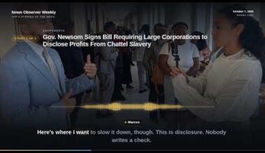 News Observer Weekly October 7 2026 edition with top 5 stories