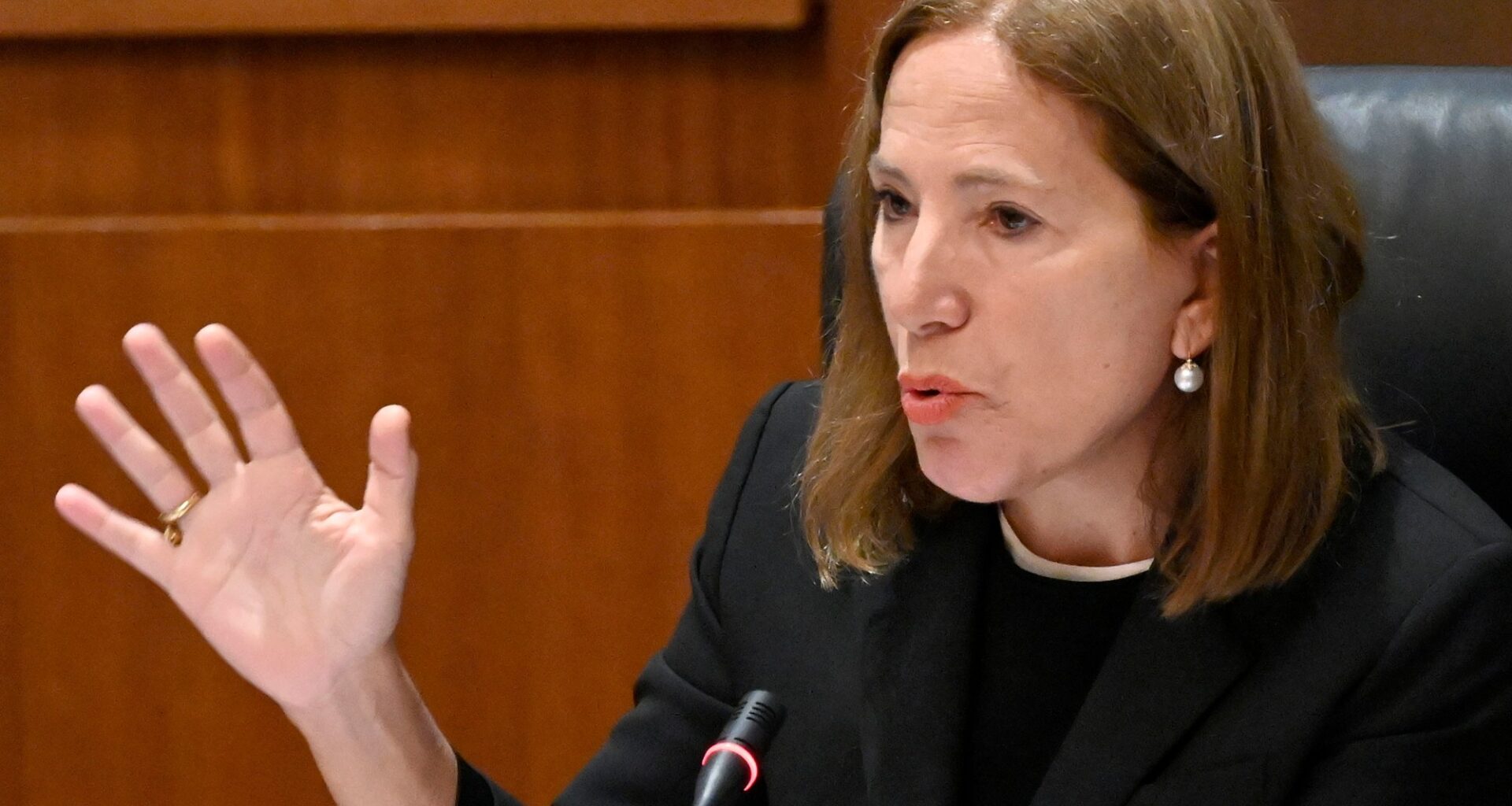 BANG endorsement: Elect Eleni Kounalakis California’s next treasurer – Marin Independent Journal