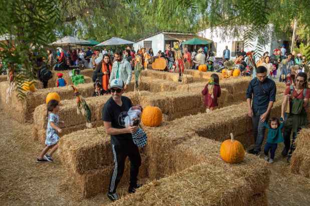 Fall-O-Ween visitors make their way through the straw maze during the annual family friendly Halloween event, put on by OC Parks, at Heritage Hill Historical Park in Lake Forest on Sunday, October 16, 2022. (Photo by Jeff Antenore, Contributing Photographer)