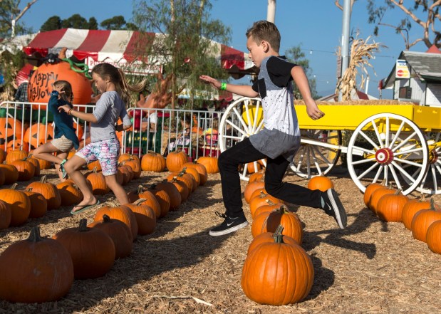 Kids jump over lines of pumpkins at Pumpkin City in Laguna Hills Mall. (Photo by Kyusung Gong, Orange County Register/SCNG)