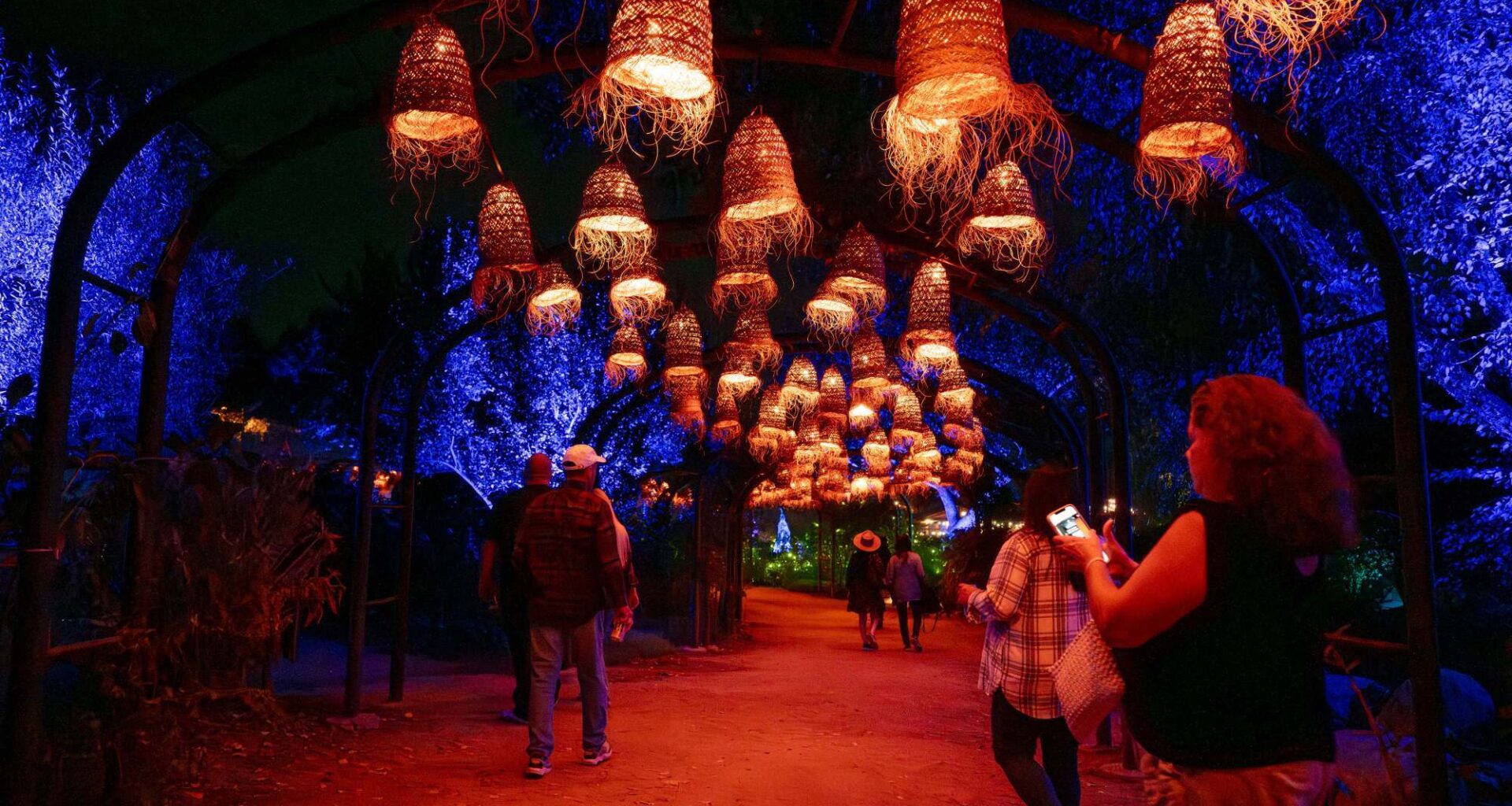 12 pumpkin patches to visit in Orange and Los Angeles counties – Orange County Register