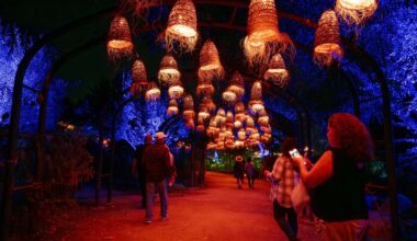12 pumpkin patches to visit in Orange and Los Angeles counties – Orange County Register