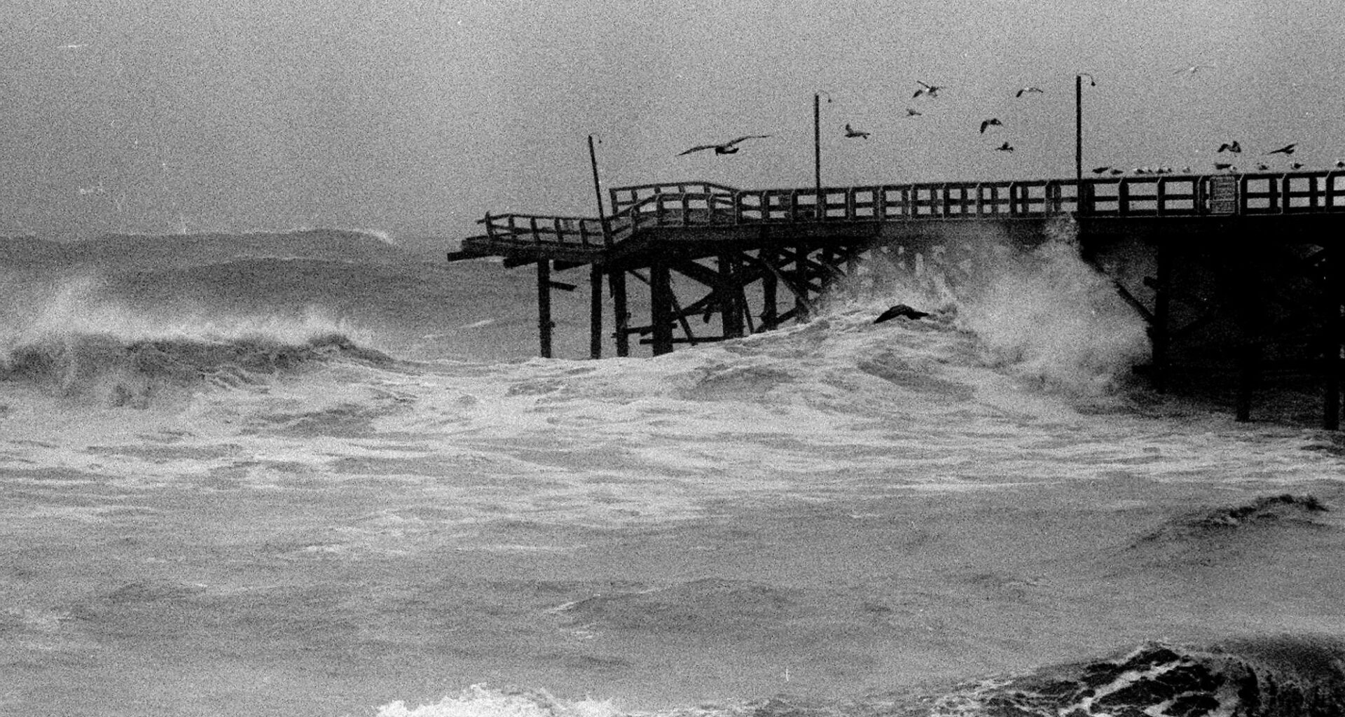 Opinion: What San Diego’s worst El Niño looked like up close – San Diego Union-Tribune