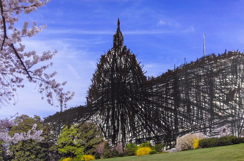 A stylized artistic rendering of the United States Capitol dome overlaid with dark, scribbled ink lines, framed by cherry blossoms and green landscaping.