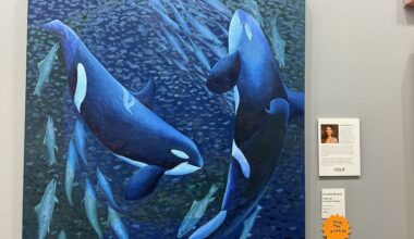Oil painter hopes to shine light on endangered orca