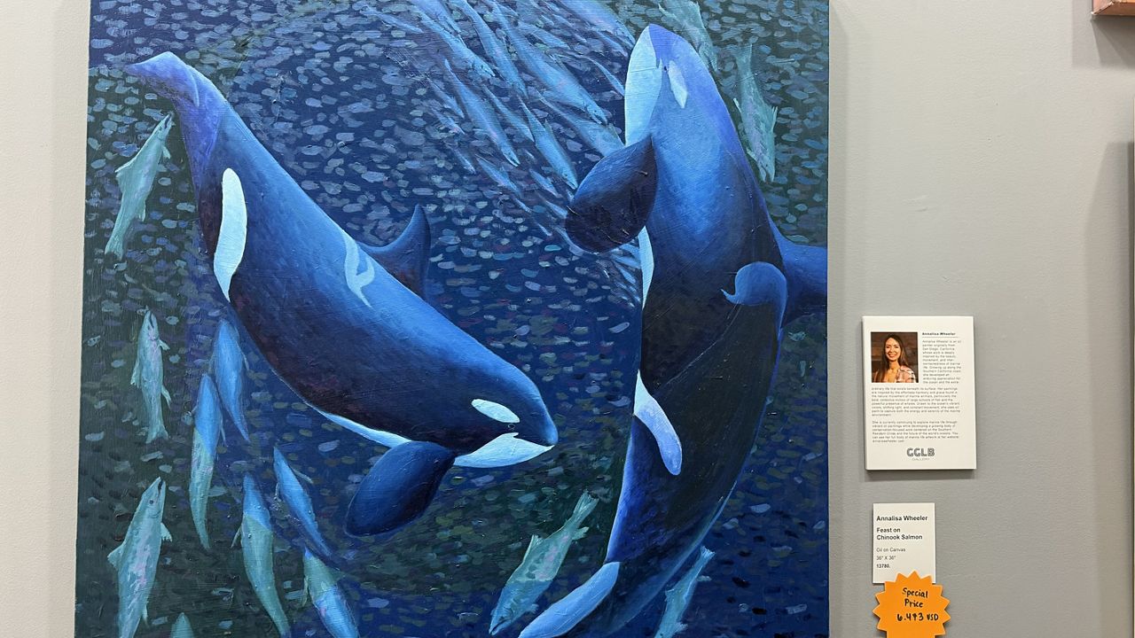 Oil painter hopes to shine light on endangered orca