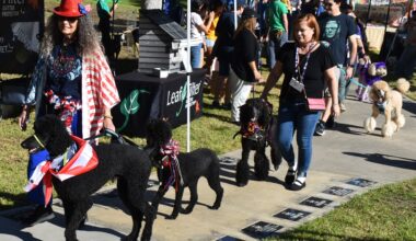The best things to do in Poway, Rancho Bernardo and 4S Ranch: Oct. 15-29, 2026