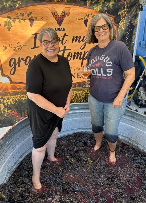 Customers enjoyed a Stomp the Grapes event at UVAS Winery in September. (Courtesy Lloyd Roberts)