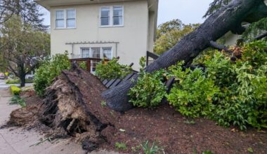 Learn about Piedmont’s El Niño storm preparations at Oct. 19 Council meeting