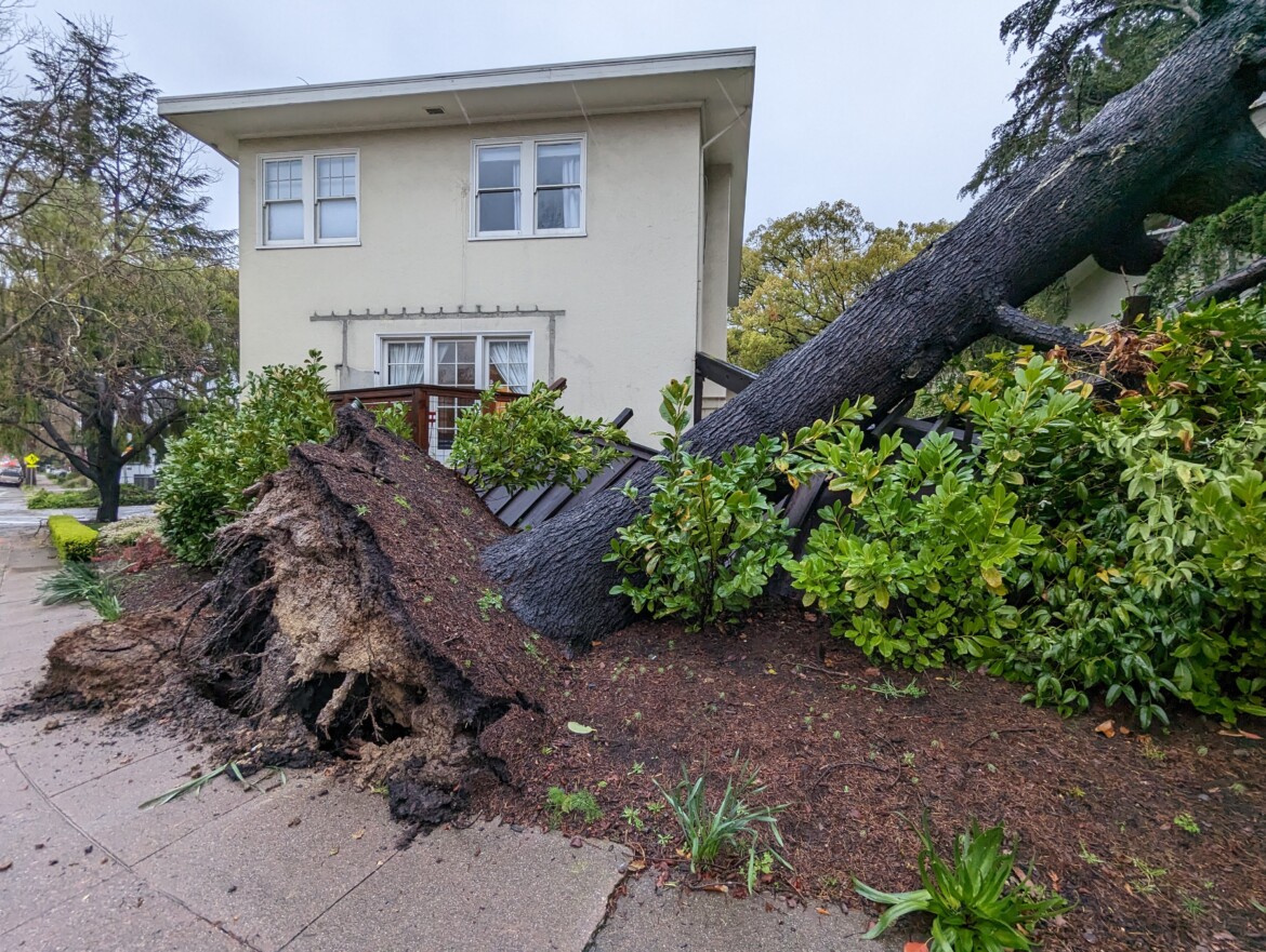 Learn about Piedmont’s El Niño storm preparations at Oct. 19 Council meeting