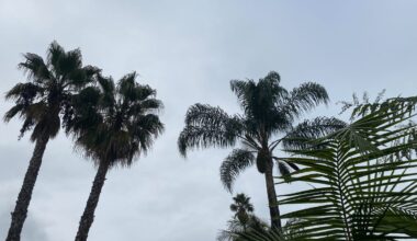 Discontinued Tropical Storm Watch for San Diego County – NBC 7 San Diego