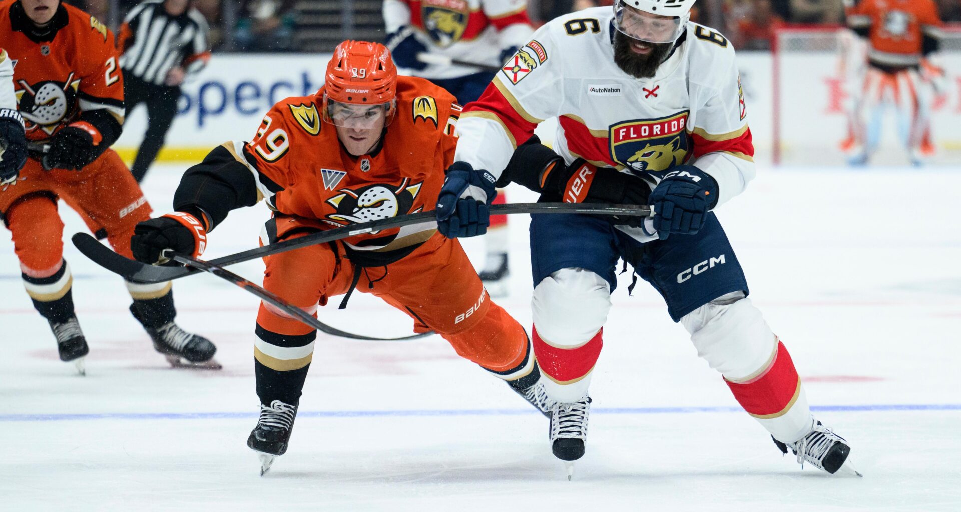 Panthers again rally in California to force OT, but are sunk vs. Ducks by penalty